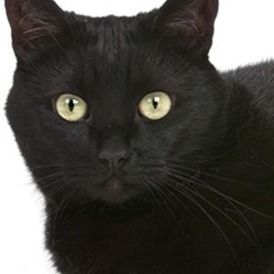 Meet your Posher, Emmanuella